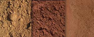 Garden Soil
